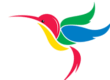 hummingbird-google